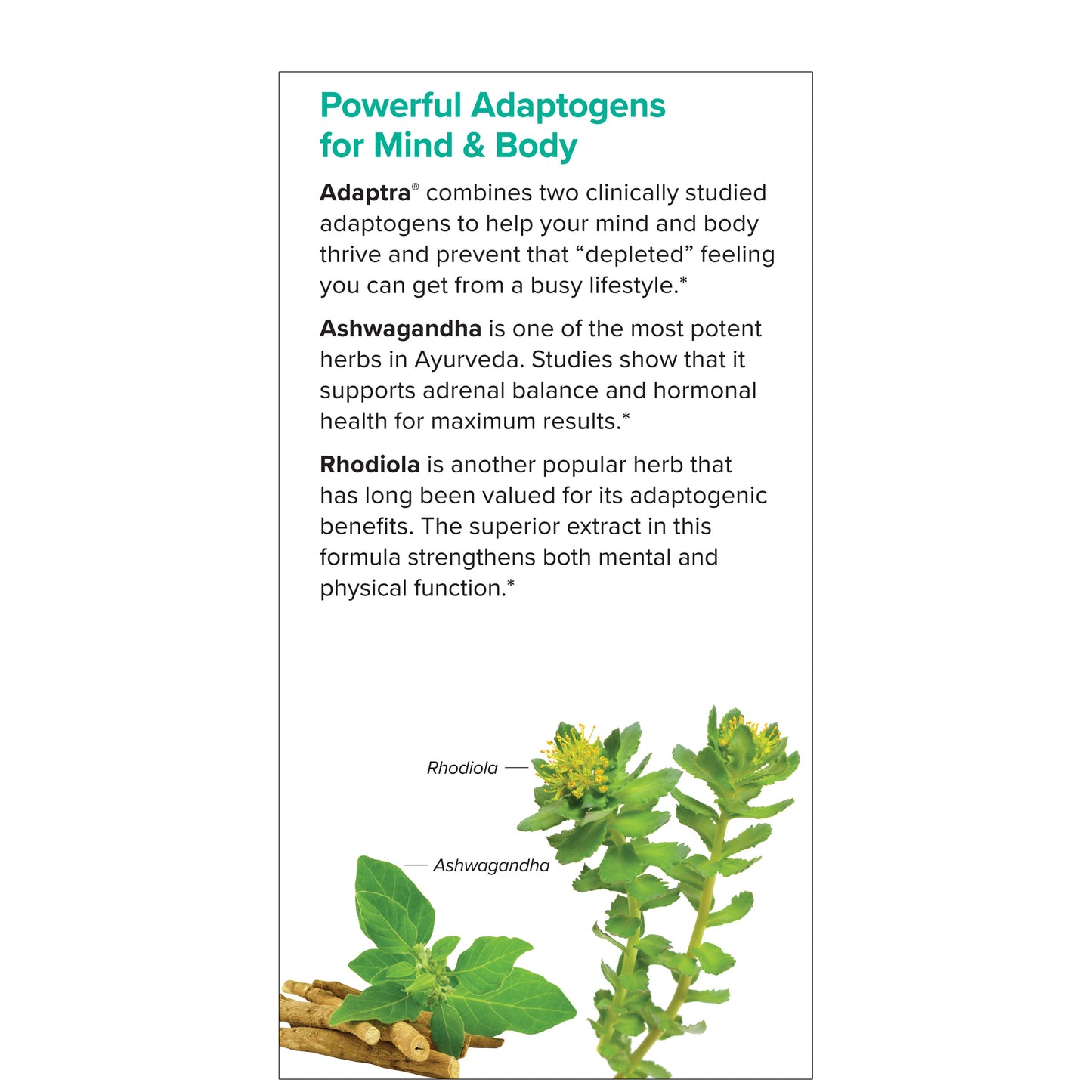 Terry Naturally Adaptra 60 Capsules