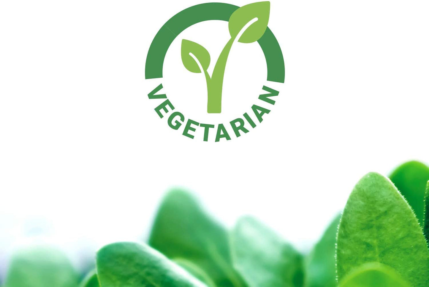 vegetarian certified