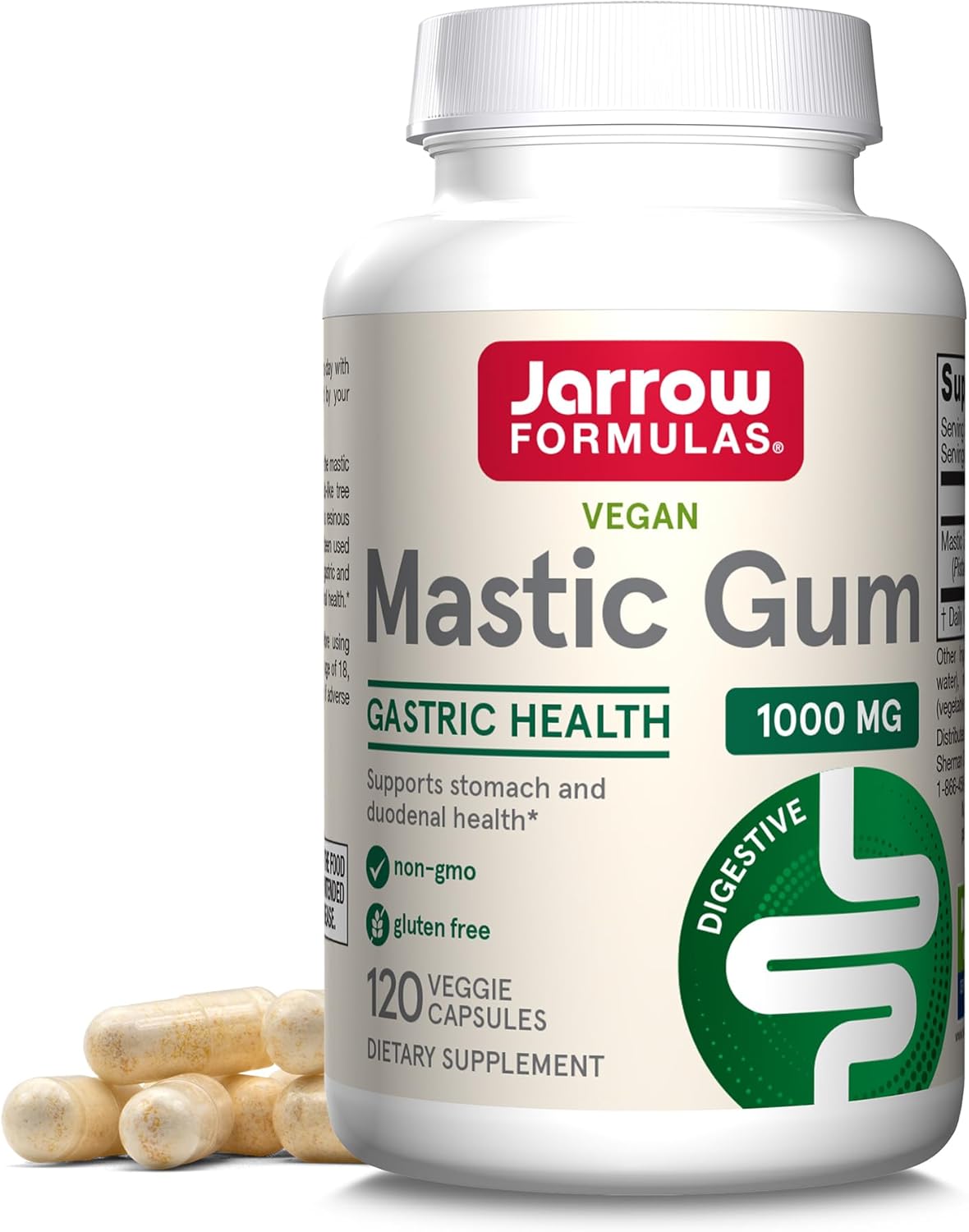 Mastic Gum 120 Tablets