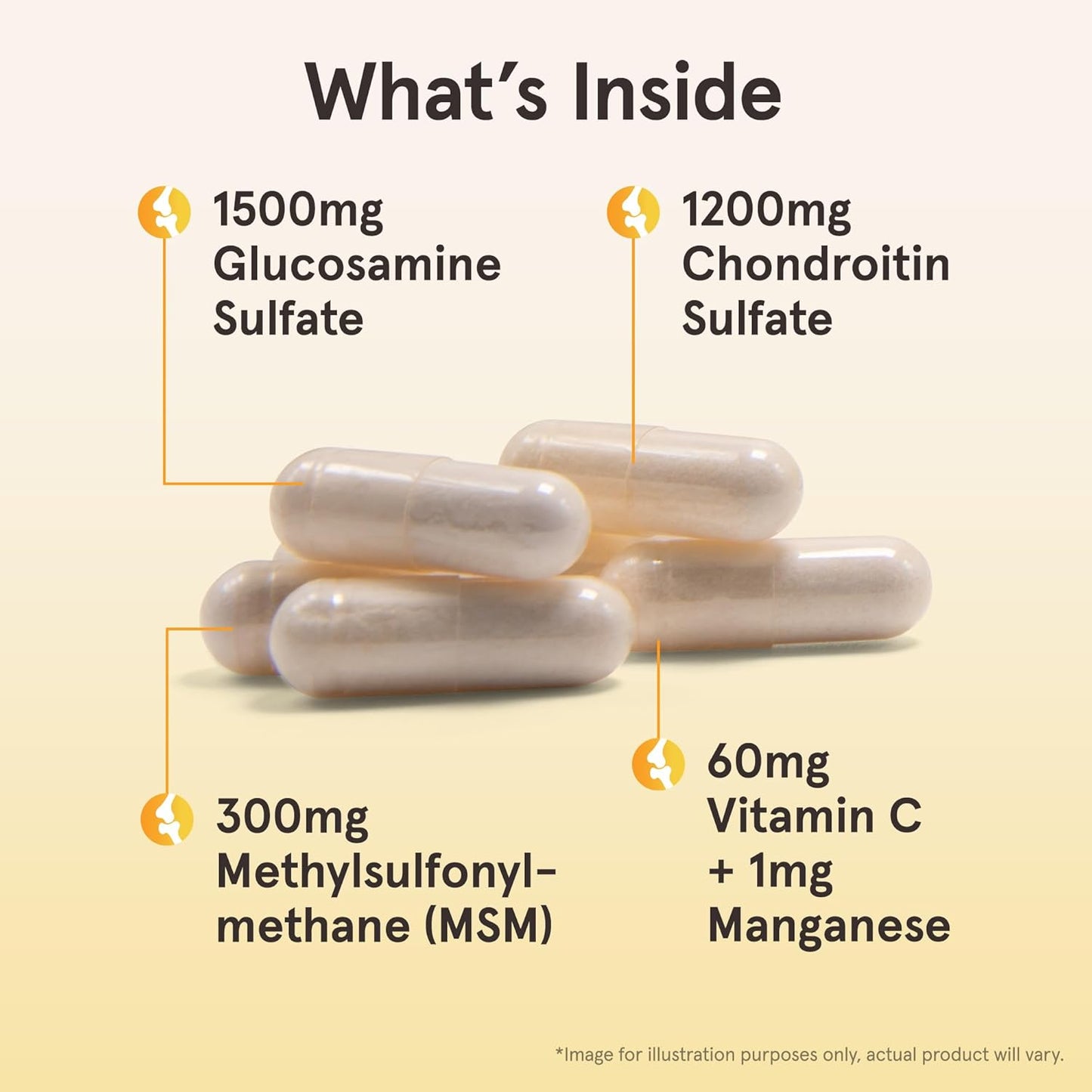 Glucosamine + Chondroitin + MSM 240 Capsules