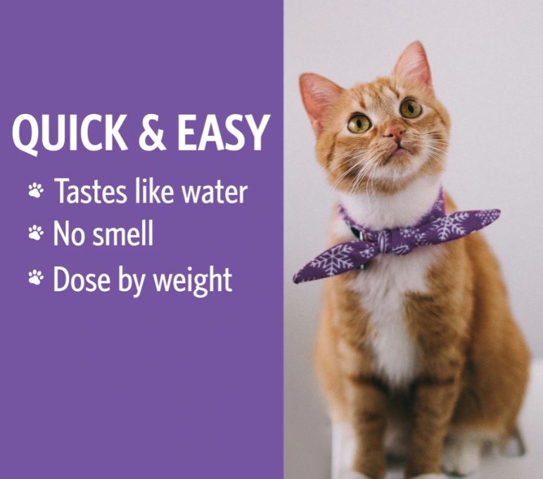 PETS Bio-Active Silver Hydrosol – Fine Mist Spray – 2oz