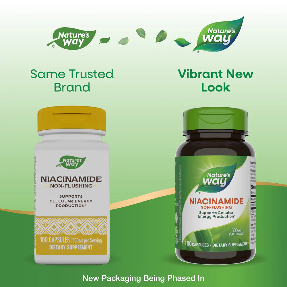 Niacinamide 500 mg 100 Capsules by Nature's Way