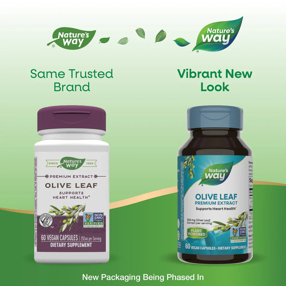 Olive Leaf Standardized 12% Oleuropein 60 Veg Capsules by Nature's Way