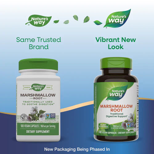 Marshmallow Root 480 mg 100 Veg Capsules by Nature's Way