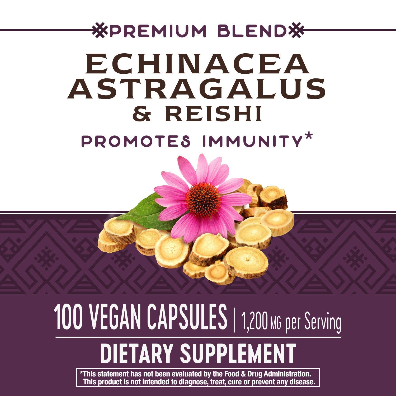 Echinacea Astragalus & Reishi 100 Vegetarian Capsules by Nature's Way best price