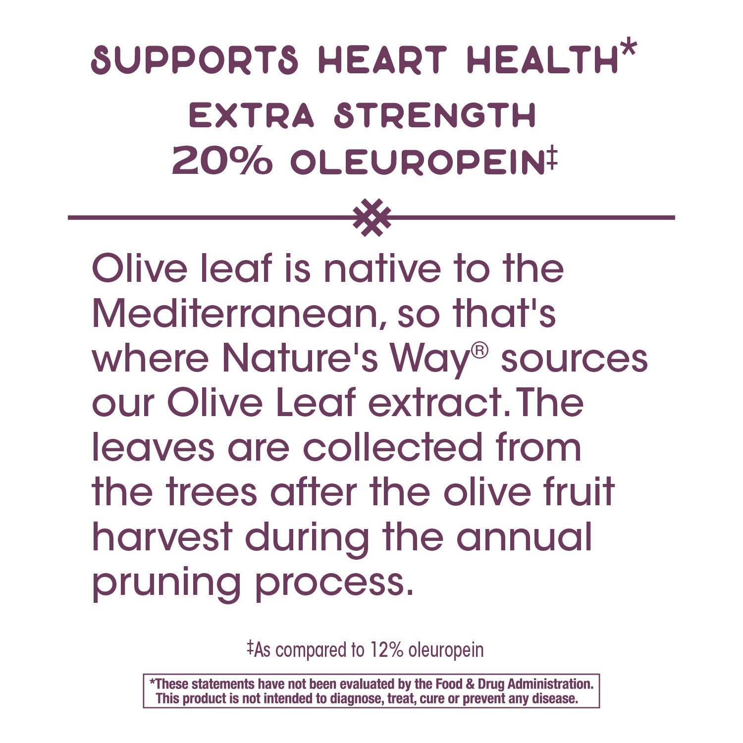 Olive Leaf Standardized 20% Oleuropein 60 Veg Capsules by Nature's Way best price