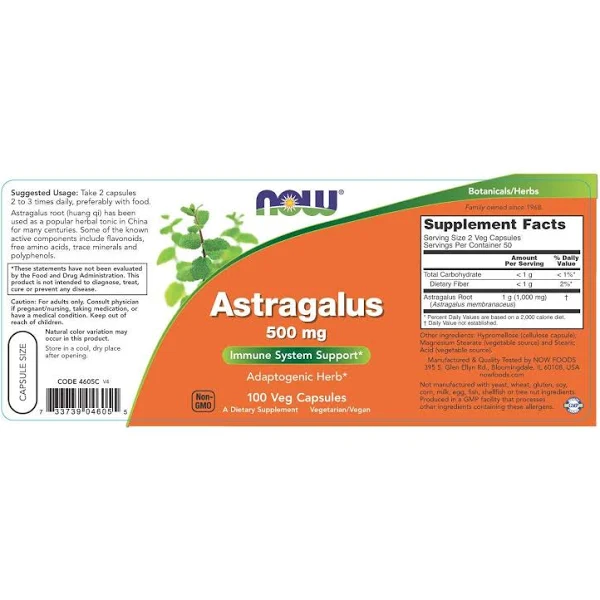 Astragalus 500 mg 100 Capsules | By Now Foods - Best Price