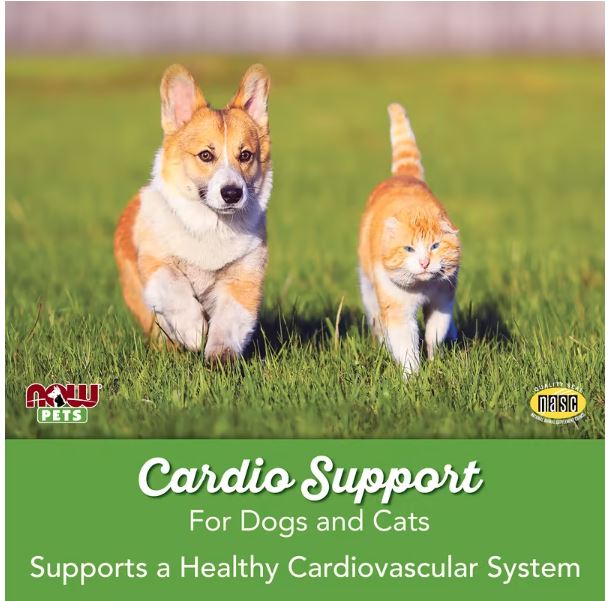 Cardiovascular Support for Dogs/Cats, 4.5 oz (127 g) by NOW Pets