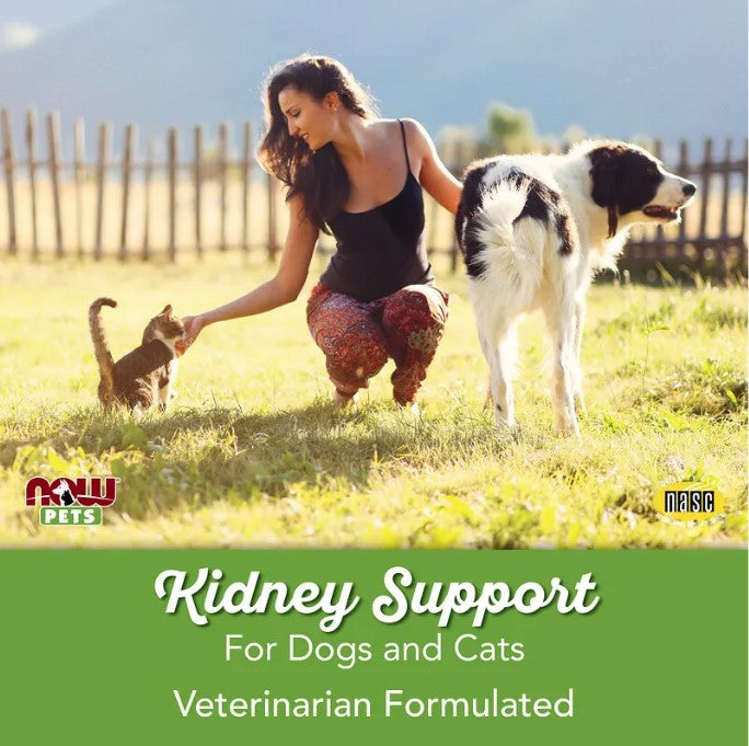 Kidney Support for Dogs/Cats, 4.2 oz (119 g), by NOW Pets