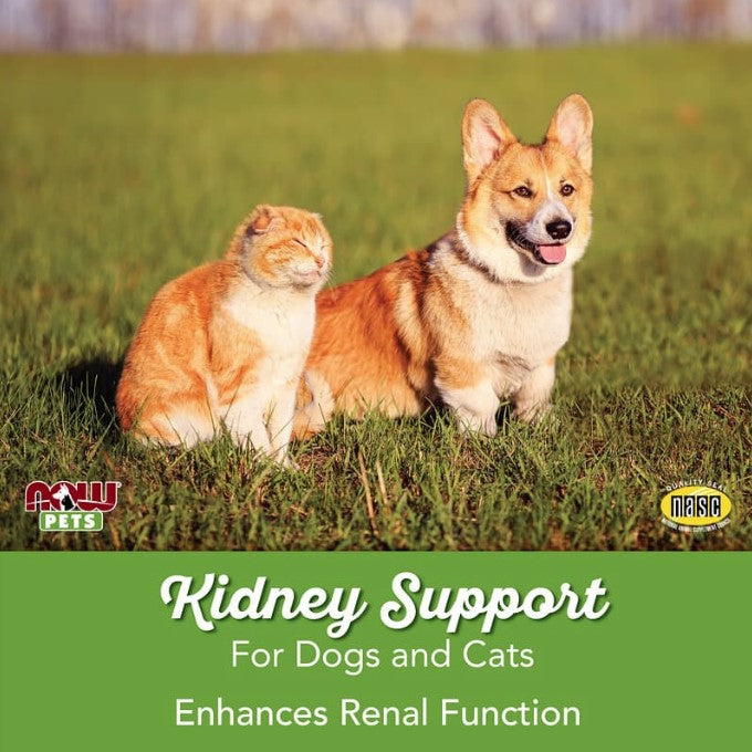 Kidney Support for Dogs/Cats, 4.2 oz (119 g), by NOW Pets