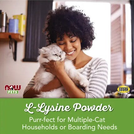 Pets, L-Lysine for Cats, 8 oz (226.8 g), by NOW Pets