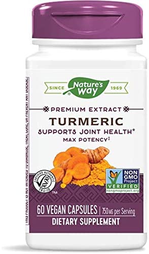 Turmeric Standardized Max Potency 750 mg 60 Vegetarian Capsules by Nature's Way