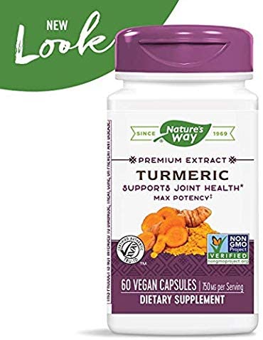 Turmeric Standardized Max Potency 750 mg 60 Vegetarian Capsules by Nature's Way