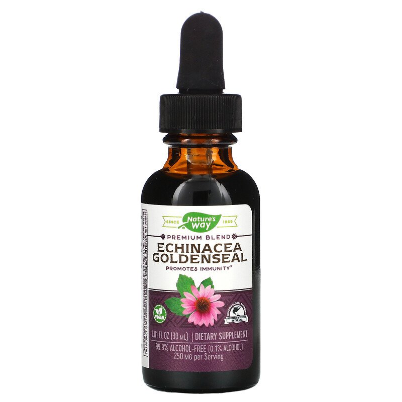 Echinacea Goldenseal 1.01 fl oz (30 ml) by Nature's Way