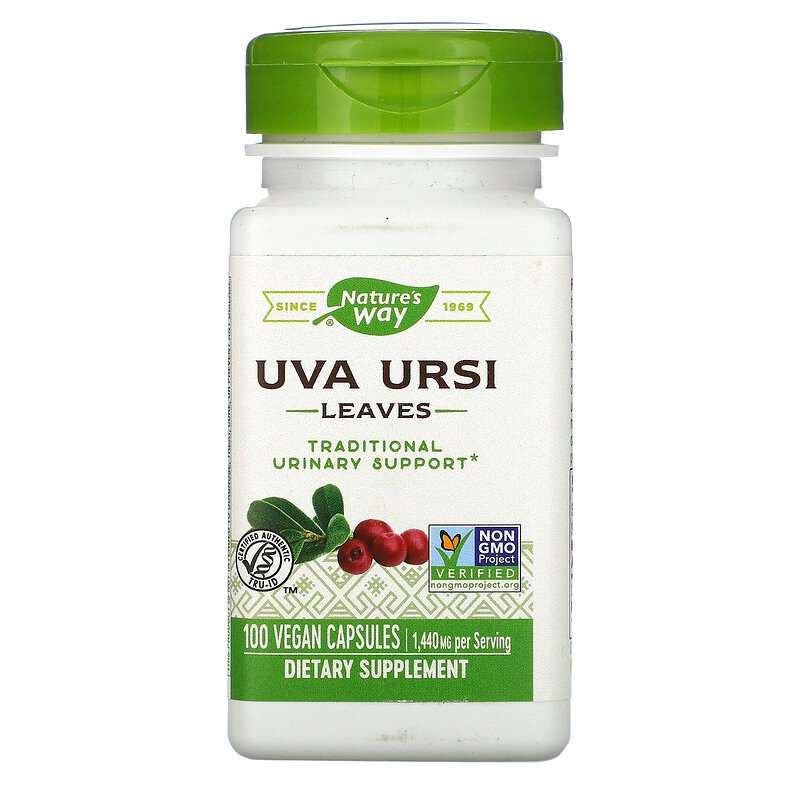 Uva Ursi Leaves 480 mg 100 Vegetarian Capsules by Nature's Way