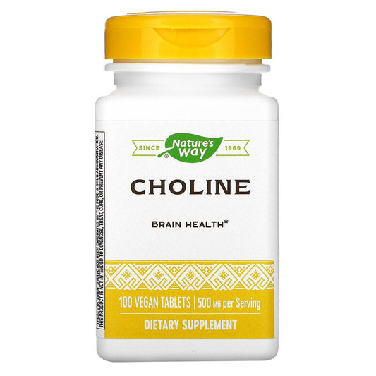 Choline 500 mg 100 Tablets by Nature's Way