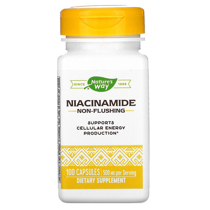 Niacinamide 500 mg 100 Capsules by Nature's Way