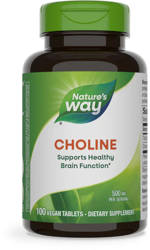 Choline 500 mg 100 Tablets by Nature's Way