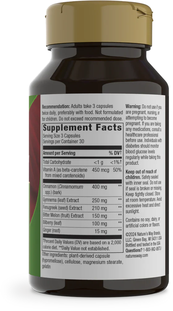 Blood Sugar Metabolism Blend 90 Veg Capsules by Nature's Way
