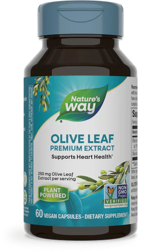 Olive Leaf Standardized 12% Oleuropein 60 Veg Capsules by Nature's Way