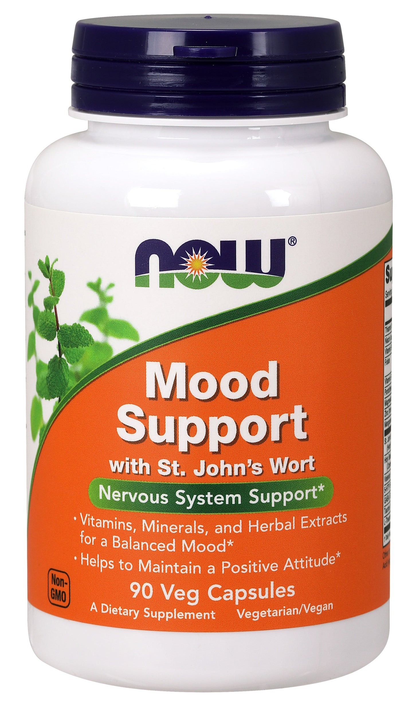 Mood Support with St. John's Wort 90 Veg Capsules