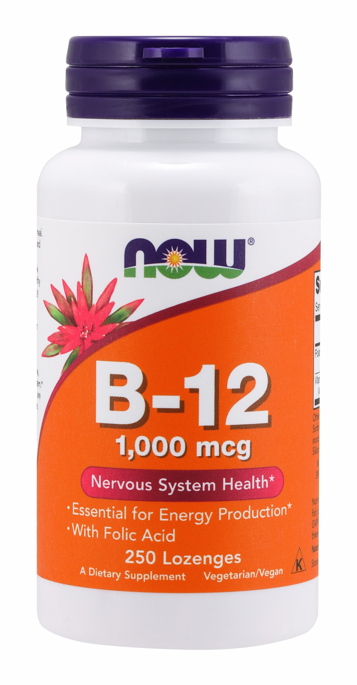 B-12 1,000 mcg 250 Lozenges