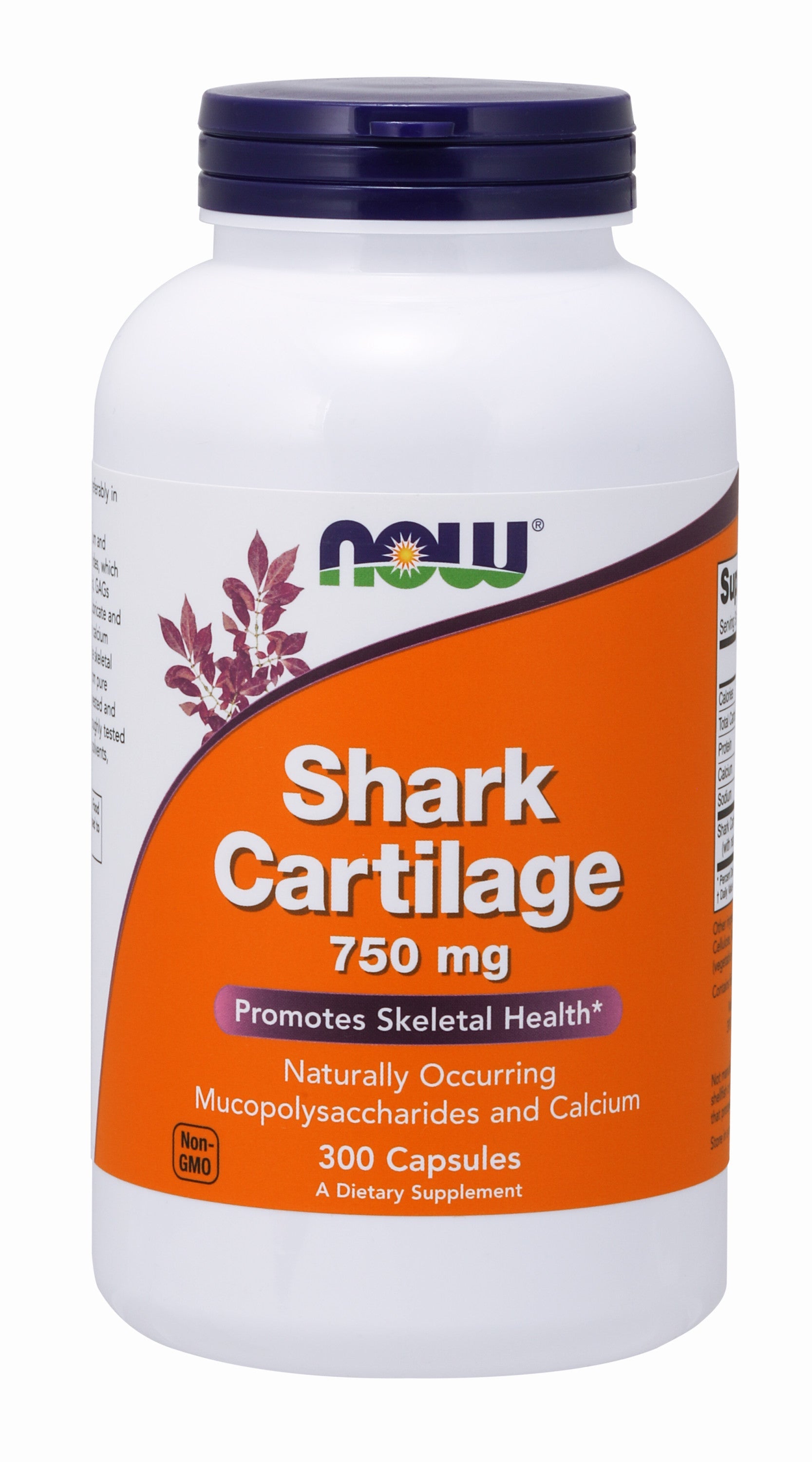 Shark Cartilage 750 mg 300 Capsules | By Now Foods - Best Price