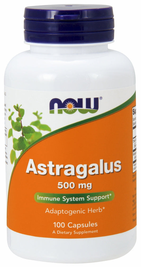 Astragalus 500 mg 100 Capsules | By Now Foods - Best Price