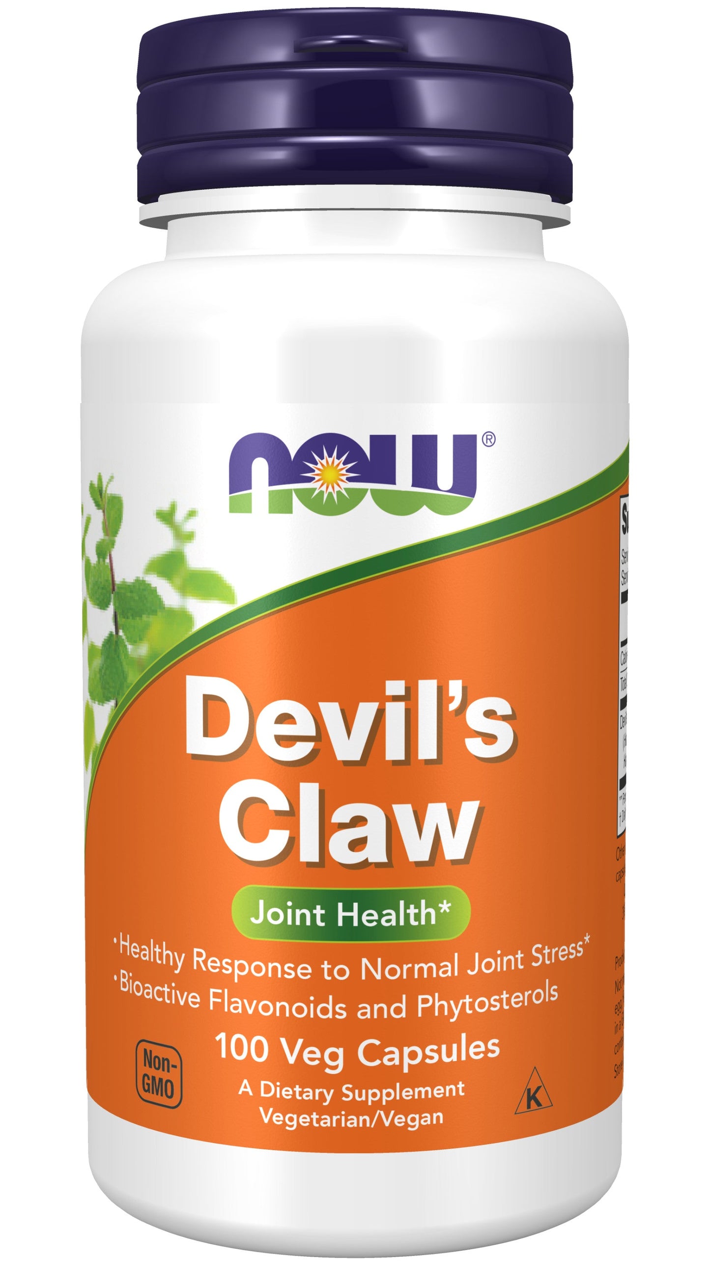 Devil's Claw 100 Veg Capsules