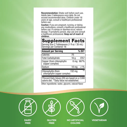 Chlorofresh Liquid Chlorophyll Mint Flavored 16 fl oz (473.2 ml) by Nature's Way