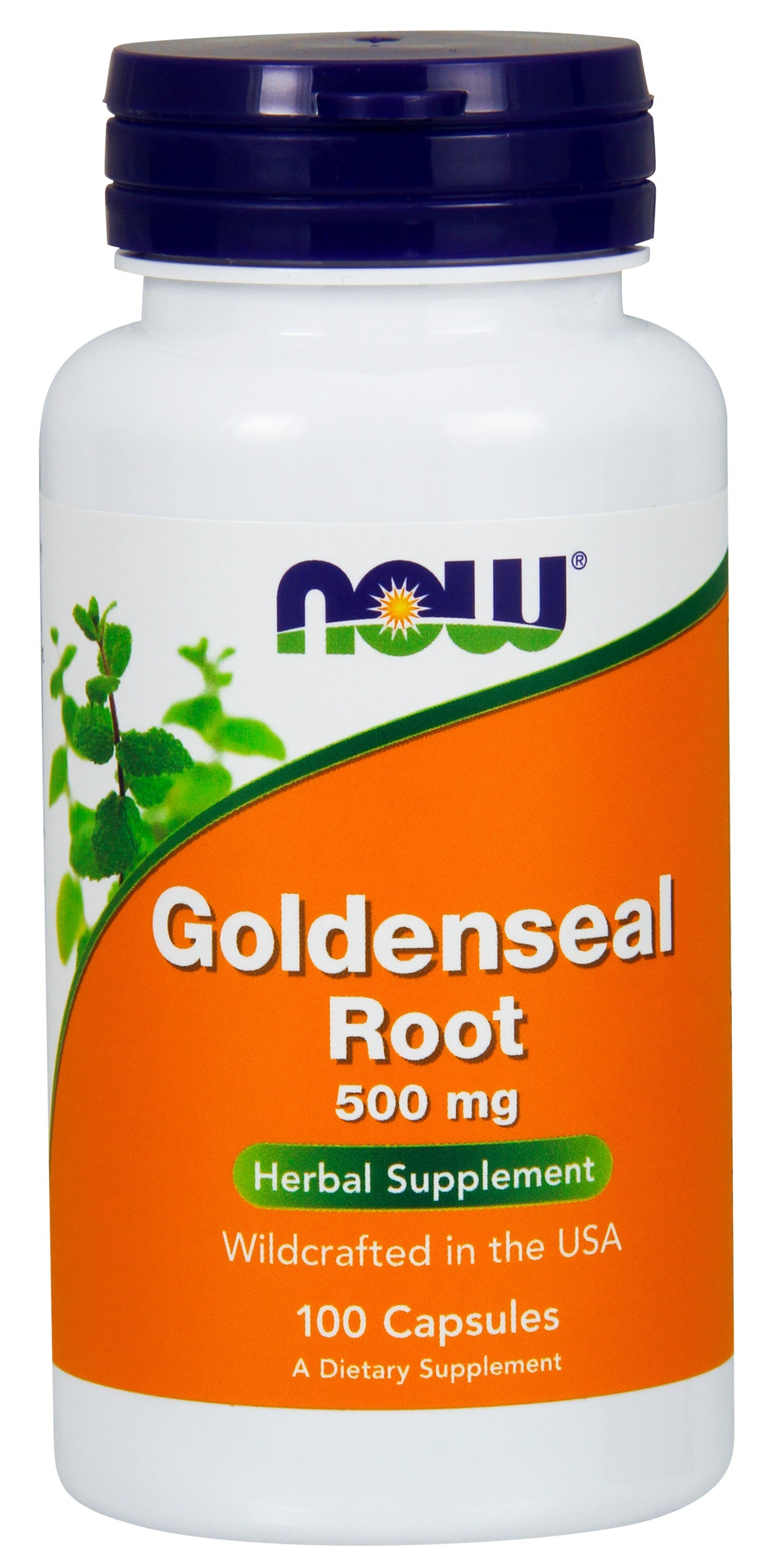 Goldenseal Root 500 mg 100 Capsules | By Now Foods - Best Price