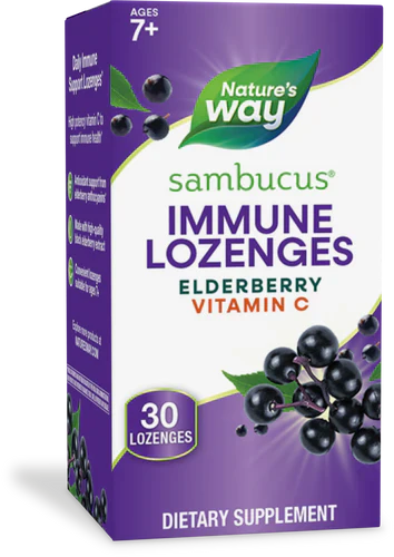 Original Sambucus Standardized Elderberry 30 Lozenges