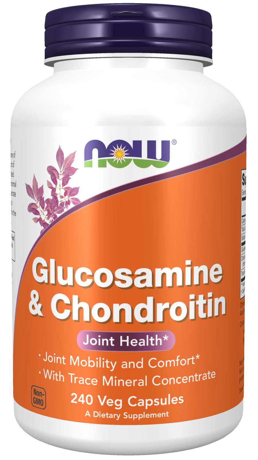 Glucosamine & Chondroitin 240 Capsules