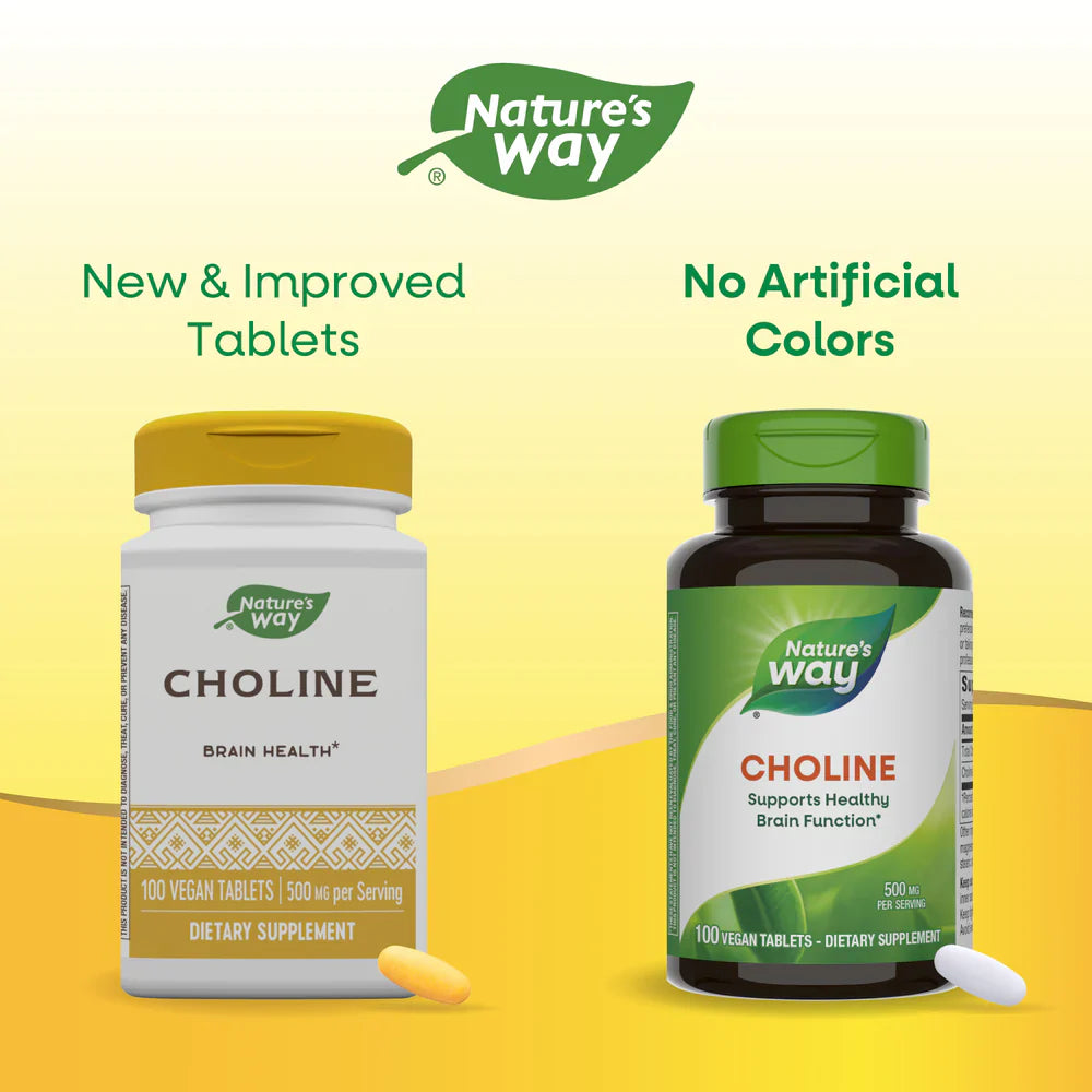 Choline 500 mg 100 Tablets by Nature's Way