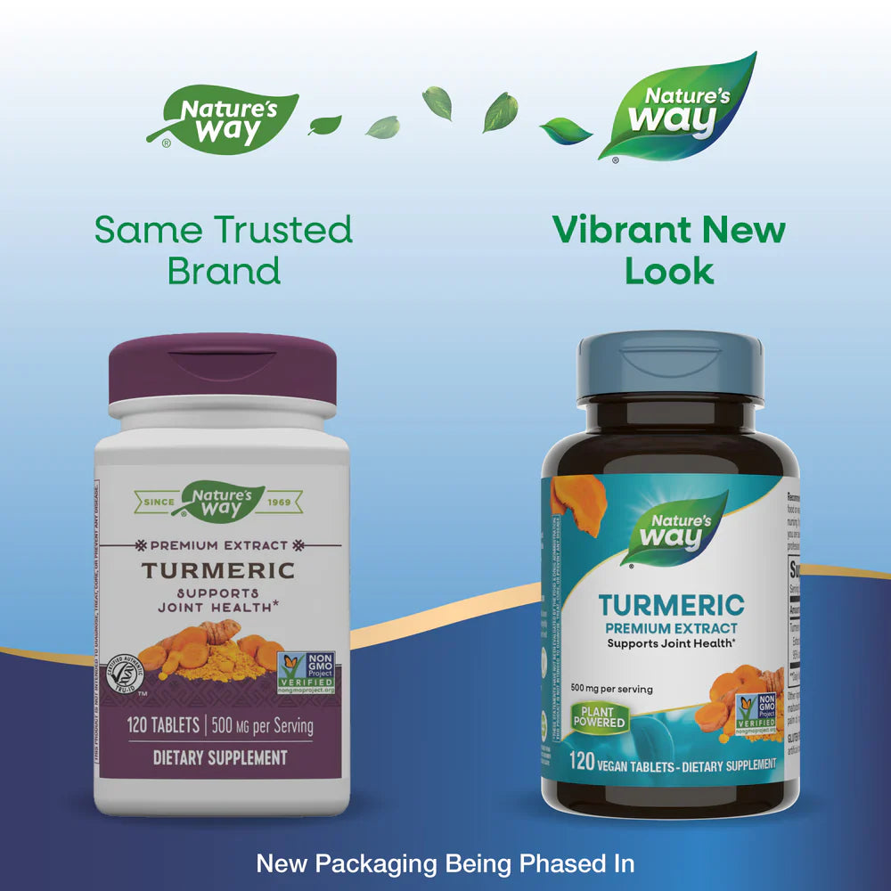 Turmeric Standardized 120 Tablets by Nature's Way