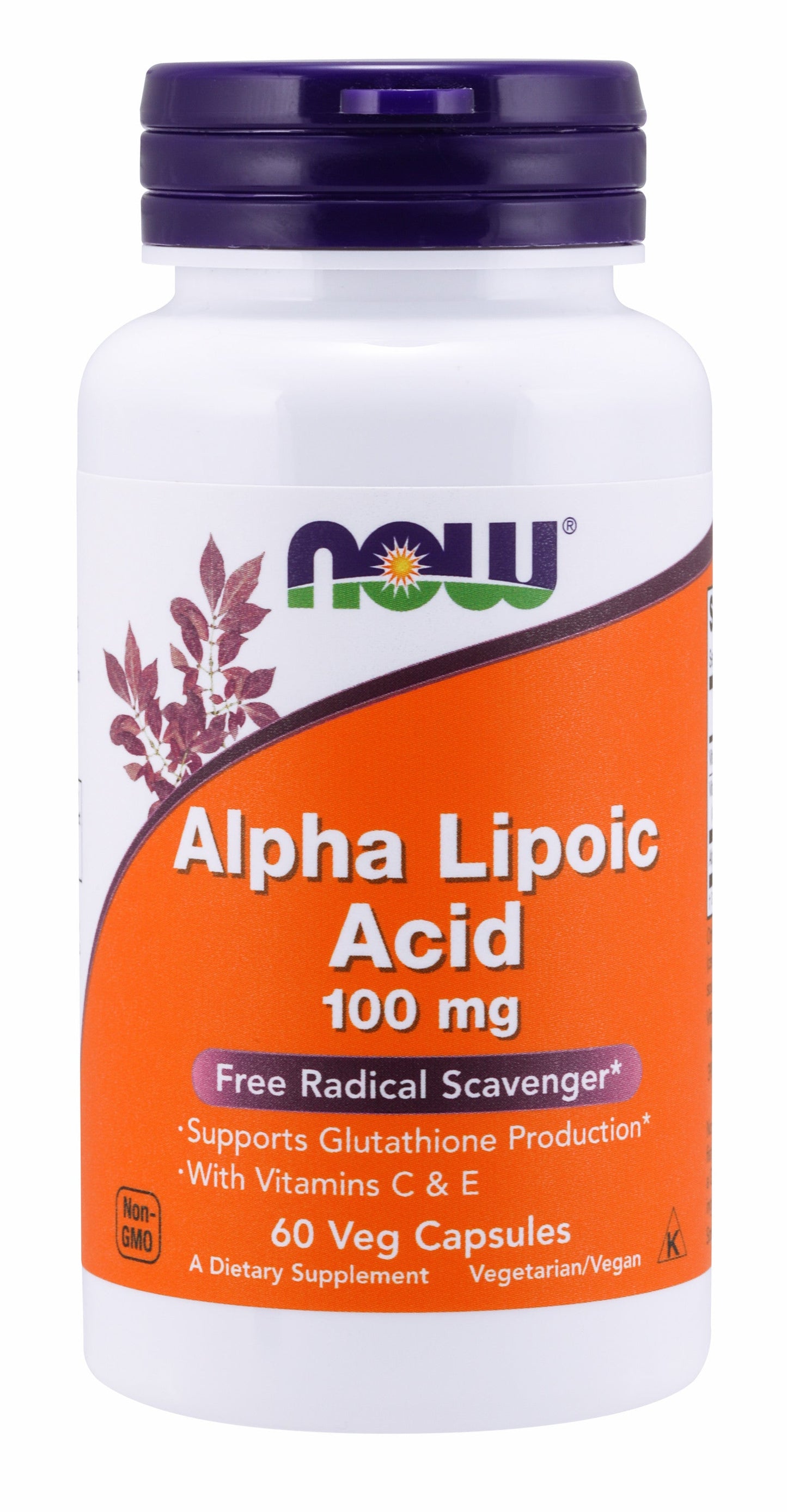 Alpha Lipoic Acid 100 mg 60 Veg Capsules